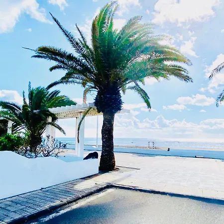 Canaryislandshost L The Secret 宏达海滩